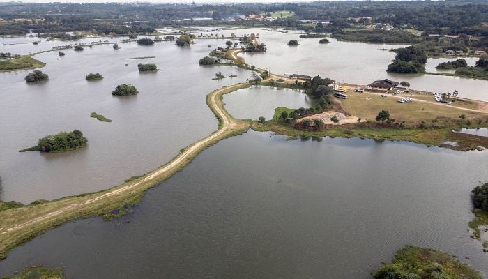  Reserva Hídrica do Futuro já recuperou 300 hectares de área de várzea do Rio Iguaçu